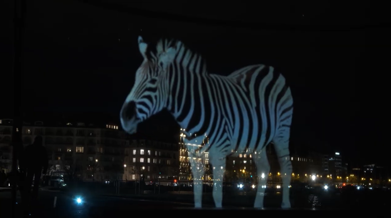 Zoo virtuel au Bain des Pâquis — immersive installation in Geneva